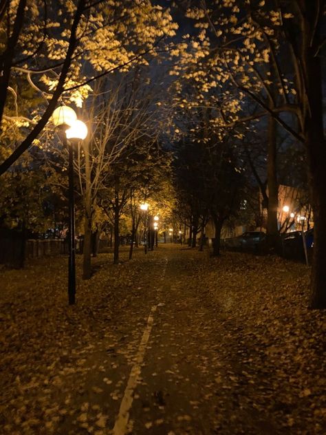 Dark Autumn, Autumn Scenery, Season Of The Witch, Best Seasons, Fall Pictures, Autumn Cozy, Autumn Aesthetic, Night Aesthetic, City Aesthetic