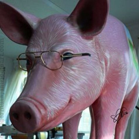 Pig with glasses Pig Wearing Glasses, Pig With Glasses, Four Eyes, Wearing Glasses, Inside Jokes, Little Animals, Pigs, Funny Pictures, This Is Us