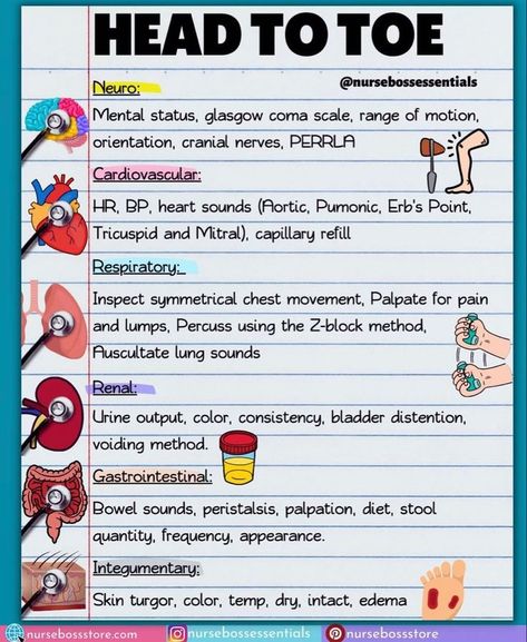 Paramedic Science, Paramedic Notes, Paramedic Study, Nursing Knowledge, Nursing School Studying Cheat Sheets, Nursing School Organization, Nurse Notes, Paramedic School, Nursing Cheat