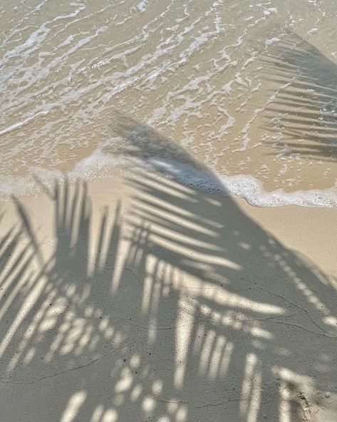 Cream Aesthetic, Summer Backgrounds, Beach Cottage Style, Summer Inspiration, Beige Aesthetic, Jolie Photo, December 7, Aesthetic Images, Tropical Vibes