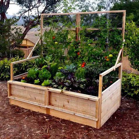 Wooden garden bed