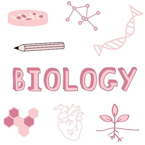 Pink Subject Pack. Perfect gift for anyone heading back to College! Check out my portfolio for all the individual subject versions as I roll them out. Petri dish experiment, pencil, calls, DNA Helix, molecule, atoms, photosynthesis and heart. • Millions of unique designs by independent artists. Find your thing. Aesthetic Biology Cover Page, Pink Biology Aesthetic, Biology Cover Page Design, Biology Aesthetic, Sampul Binder, School Binder Covers, School Binder, Biology Notes, School Notebooks