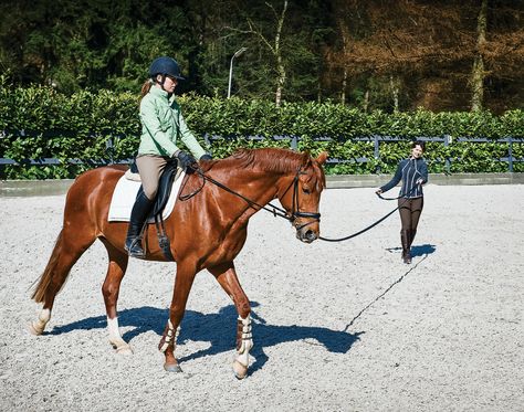 Ever wondered why your horse's back feels uneven? Get your answers with Dressage Today Magazine. Lunging Horse, Horse Lunging, English Thoroughbred, Horse Reference Photos, Riding Instructor, Chestnut Horses, Horse Poses, Riding School, Hobby Horses