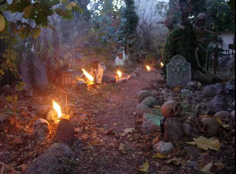 Forest Of Mirrors Haunted Hayride Ideas, Hayride Ideas, Halloween Front Yard, Haunted Trail Ideas, Halloween Yard Haunt, Halloween Forest, Halloween Scenes, Trail Ideas, Haunted Trail