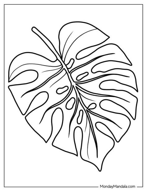 34 Leaf Coloring Pages (Free PDF Printables) Leaf Template Printable, Tropical Leaves Illustration, Hawaiian Quilt Patterns, Leaf Coloring Page, Hawaii Theme, Fall Leaf Wreaths, Colouring Ideas, Leaf Outline, Hawaiian Quilt