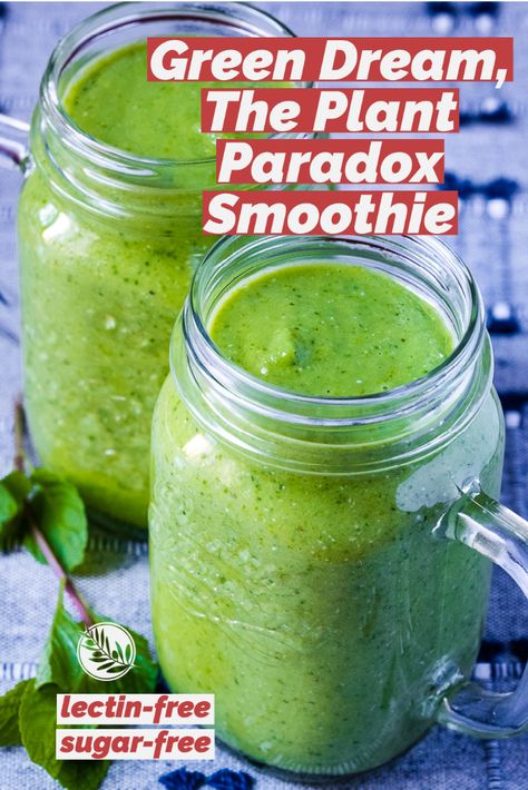 Start your plant paradox journey with this healthy and nutritious green smoothie. Lectine Free Recipes, Dr Gundry Keto Code Recipes, Plant Paradox Phase 1, Dr Gundry Yes And No List, Lectin Free Smoothie Recipes, Plant Paradox Breakfast Recipes, Plant Paradox Breakfast, Green Keto Recipes, The Plant Paradox Recipes