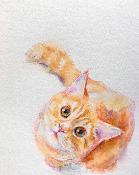 Watercolor Projects, Watercolor Painting Techniques, Watercolor Flower Art, Watercolor Cat, November 2, Watercolor Sketch, Amazing Art Painting, Painting Art Projects, Cute Animal Drawings