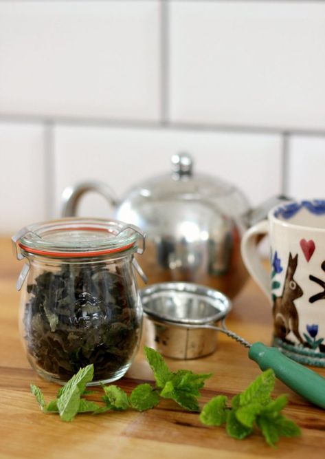 How to dry mint leaves for peppermint tea Dry Mint Leaves, Tea Coffee Bar, Homemade Febreze, Homemade Reed Diffuser, Reduce Plastic Use, Drying Mint Leaves, Herbs Remedies, Alice Waters, Vegan Vibes