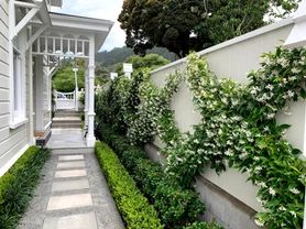 Narrow Planter Ideas, Small Hedges Border, Hamptons Front Garden, Belgian Fence, Hamptons Landscaping, Garden Privacy Ideas, Hedge Garden Design, Privacy Screen Ideas, Hedge Garden