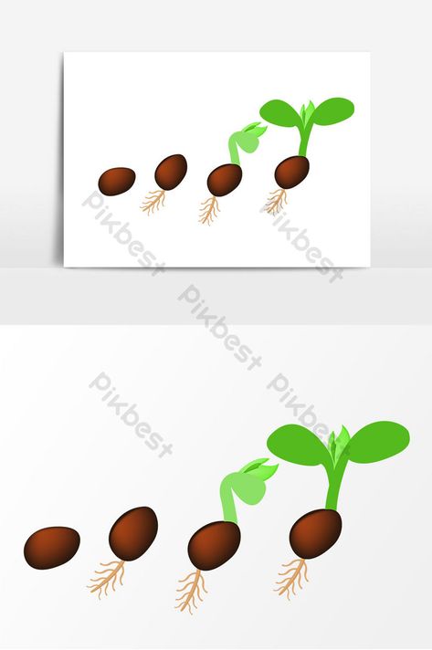 Photography Movies, Vector Elements, Seed Germination, Music Decor, Graphic Design Templates, Free Graphic Design, Image Design, Design Templates, Cartoon Drawings