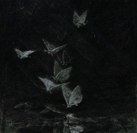 Dark Butterflies Aesthetic, Dark Grunge Academia Aesthetic, The Curator Dark Pictures, Plants Dark Aesthetic, Moth Aesthetic Dark, Moth Pfp, Dark Grunge Pfp, Dark Faerie Aesthetic, Grunge Widgets