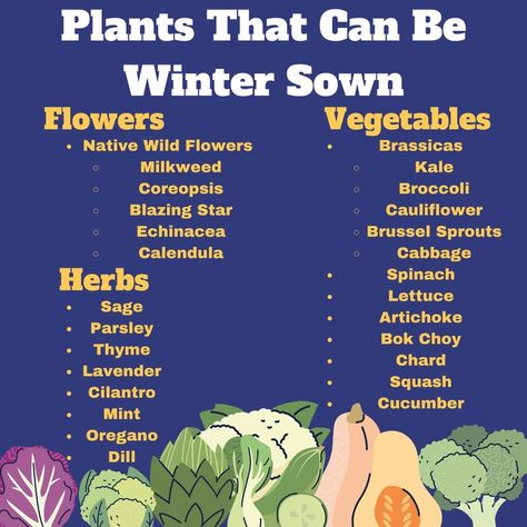 Garden Ideas Winter Cold Weather, Fall/winter Gardening, Plants That Grow In The Winter, Zone 6 Winter Garden, Winter Sowing Vegetables Zone 6, Vegetable To Grow In Winter, Plants To Grow In Winter, Plants To Plant In February, Flowers To Grow In Winter