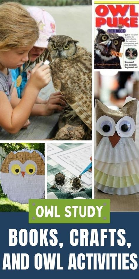 Teach Kids All About Owls With These Fun Activities | Tonya Staab Winter Forest School, Preschool Nocturnal Animals, Owl Study, Owl Activities, Diy Halloween Food, Autumn Decor Ideas, Owl Cakes, Storytime Ideas, Parent Night