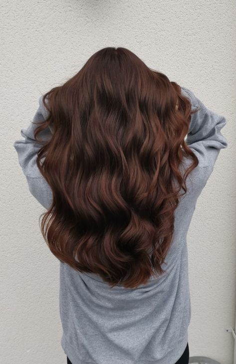 Brown Hair For Winter Brunettes, Red Ish Brown Hair Highlights, Long Dark Auburn Hair With Layers, Roasted Chestnut Hair Color, Tint Of Red Hair Dark Brown, Deep Brown Hair Red Tint, Red Undertone Brunette, Brown With Copper Undertones, Auburn Undertone Hair