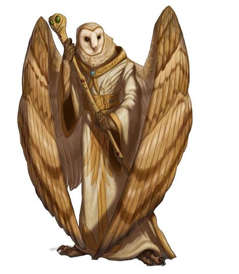 DnD Character art collection dump - Imgur Bird People, Heroic Fantasy, Fantasy Races, Dungeons And Dragons Characters, Fantasy Rpg, Fantasy Inspiration, Dnd Characters, Fantasy Artwork, Creature Design