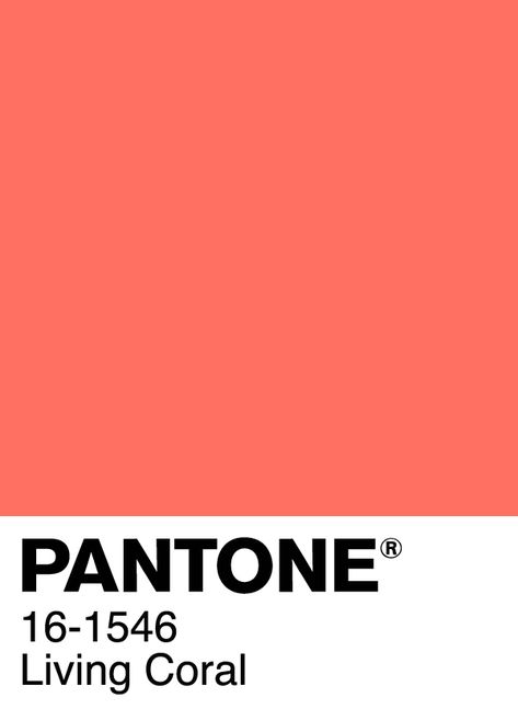 Coral Pantone, Palettes Color, Colour Swatches, Fish Home, Living Coral, Live Coral, Color Inspo, Color Analysis, Colour Board