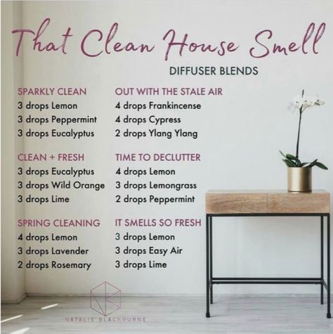 That Clean House Smell Clean House Smell, Essential Oil Diffuser Blends Recipes, Essential Oil Diffuser Recipes, Oil Diffuser Recipes, Essential Oil Mixes, Essential Oil Blends Recipes, Living Essentials Oils, Diffuser Recipes, Essential Oil Diffuser Blends