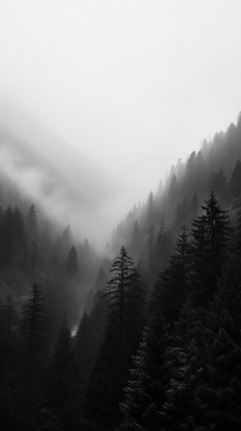 Dark 4k Wallpaper, Dark Nature Wallpaper, Dark Forest Background, Forest With Mountains, Forest Wallpaper Iphone, 4k Iphone Wallpaper, Green And Black Background, Jungle Aesthetic, Iphone Wallpaper Black