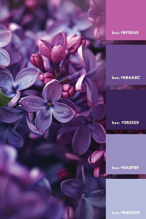 Pink And Purple Pallet, Purple Flower Color Palette, Lilac Purple Color Palette, Purple Color Palette Aesthetic, Lilac Color Palette Colour Schemes, Shades Of Purple Aesthetic, Purple Pallet Color, Shades Of Purple Colour Palettes, Brand Color Palette Purple