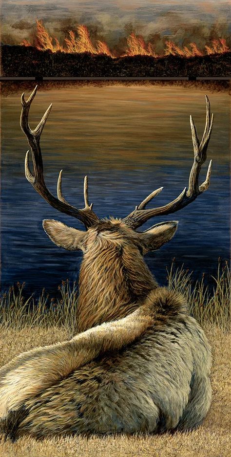 SILENT WARNING BY CLAIRE DUNCAN Deer Photography, Regnul Animal, Deer Pictures, Deer Wall Art, Deer Painting, Wildlife Pictures, Wildlife Artwork, Wild Animals Pictures, Deer Art