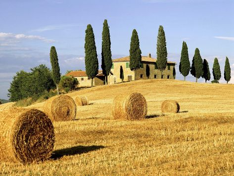 Tuscany Landscape, Tuscany Travel, Toscana Italy, Italy Landscape, Sorrento Italy, Hay Bales, Venice Travel, Naples Italy, Tuscany Italy