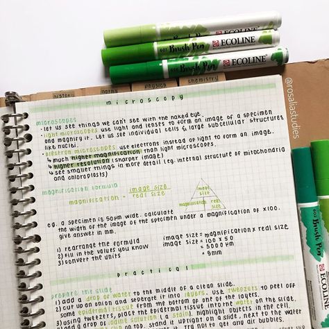 Notetaking Ideas, Handwriting Examples, Pentel Energel, School Study Ideas, Notes Inspo, Organization Notes, Note Ideas, College Notes, Bullet Journal Notes