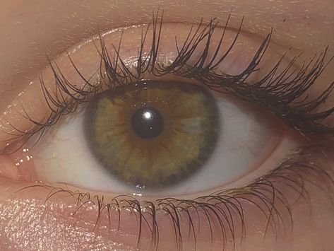 Dark Green Hazel Eyes, Dark Hazel Eyes, Money Angel, Green Hazel Eyes, Arcane Oc, Pjo Dr, Color Eyes, Dark Eyes, Hazel Eyes