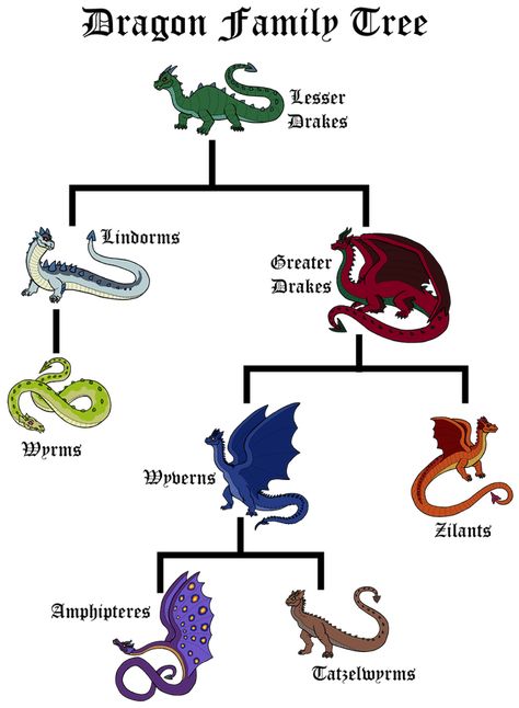 The Midgaheim Bestiary: Dragons Overview | Horror Flora Dragon Classification, Dragons Artwork, Dragon Types, Dragon Mythology, Dragon Family, Types Of Dragons, Arte Peculiar, Dragon Artwork Fantasy, Fantasy Beasts