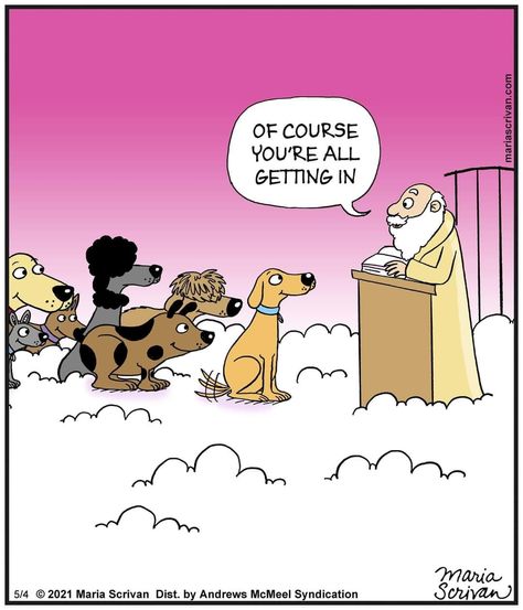 Dog Cartoons, Dogs Go To Heaven, Dog Comics, Good Dogs, Dog Humor, Best Buddies, Far Side, Dog Clothes Patterns, Must Love Dogs