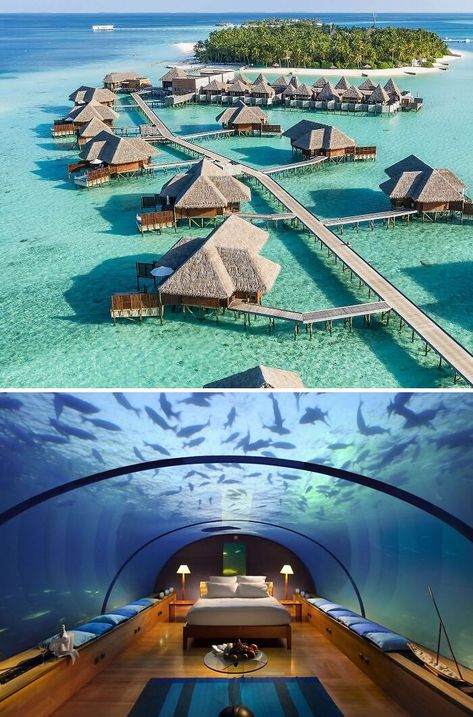 The Muraka Conrad Rangali Island, Maldives Fantasyland Hotel, Igloo Village, Glass Igloo, Conrad Maldives, Coolest Hotels, House In The Clouds, Fogo Island Inn, Treehouse Point, Floating Hotel