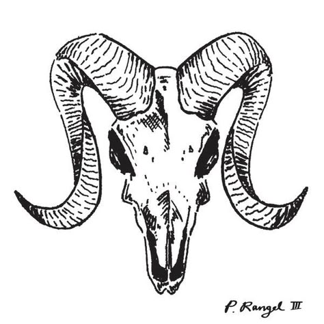 Ram skull Mixed Media (Art Print, 16" X 16" prior taxt and shipping) Jamie Tattoo, Human Painting, Aries Art, Goat Skull, Skull Wall Art, Ram Skull, Aries Tattoo, Animal Skull, Head Tattoos