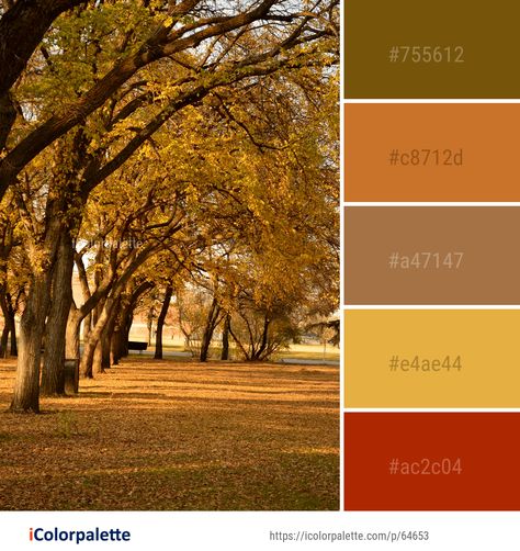 Color Palette ideas from 191 Autumn Images | iColorpalette Autumn Images, Maidenhair Tree, Fall Color Schemes, Baby Boy Winter Outfits, Yarn Color Combinations, Autumn Leaf Color, Color Palette Ideas, Palette Ideas, To Autumn