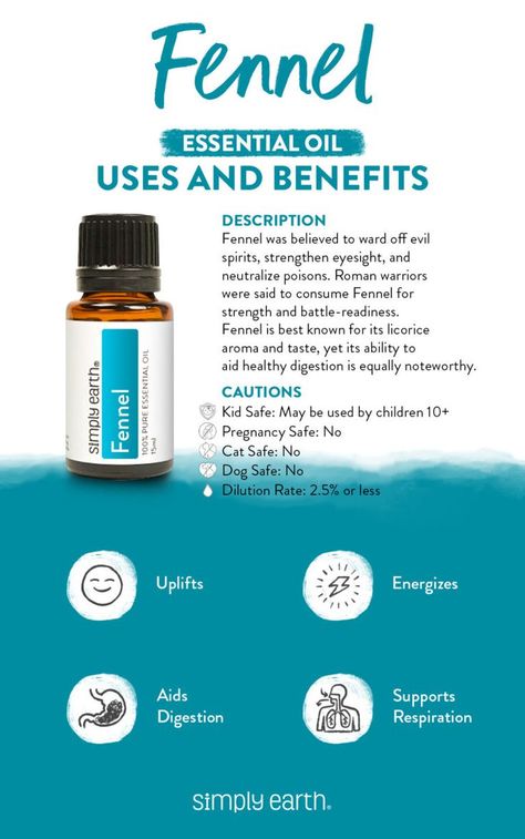 Essential Oils Cats, Benefits Of Fennel, Essential Oils Properties, Diy Body Products, Fennel Oil, Fennel Essential Oil, Essential Oils Dogs, Simply Earth, Essential Oils Uses