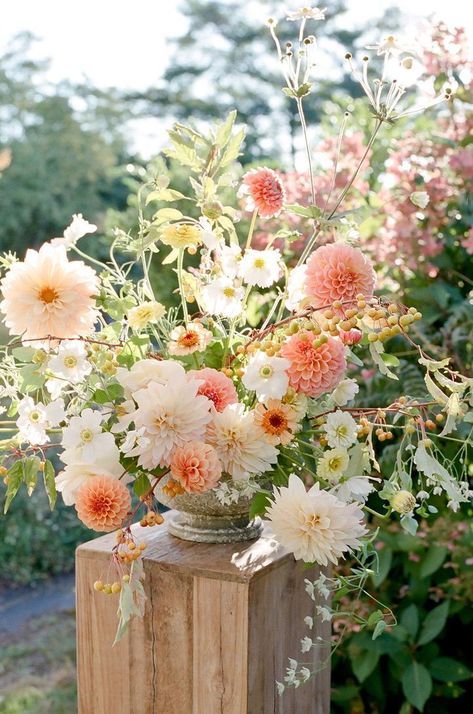 Cafe Au Lait Bridal Bouquet, Peach And White Floral Arrangements, Peach And Orange Floral Arrangements, Peachy Floral Arrangements, Wedding Floral Needs, Whimsical Dahlia Bouquet, Peach Color Flower Arrangements, Orange Dahlia Arrangement, Garden Wedding Floral Arrangements