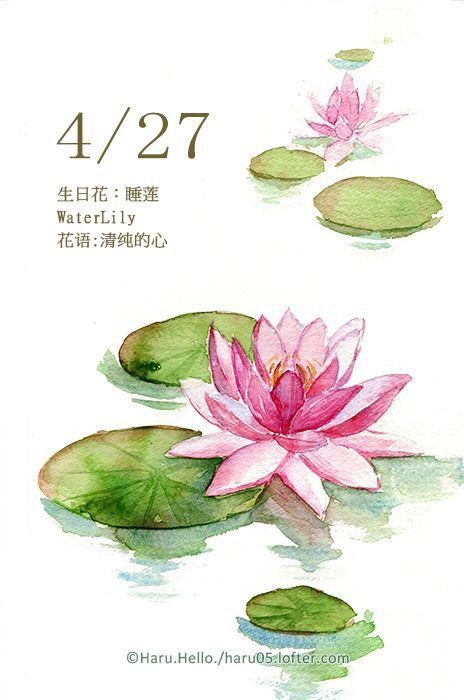 Lotus And Lily Pad Tattoo, Lotus Lily Pad Tattoo, Lilypad Tattoo, Lotus Flower Painting Watercolors, Blossom Doodle, Lily Pad Tattoo, Drawing Lotus Flower, Lily Pad Drawing, Lotus Flower Illustration