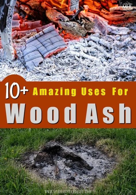 Off Grid Survival, Garden Wood, Bushcraft Skills, Survival Hacks, Survival Skills Life Hacks, Wood Ash, Homesteading Skills, Cool Wood Projects, Emergency Preparation