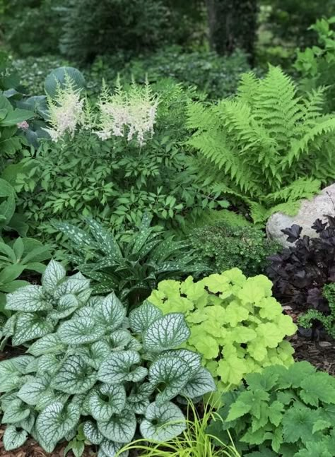 Texture example for shade_Susan Martin Shade Woodland Garden, Hosta Corner Garden, Sunny Plants Garden Ideas, Lush Shade Garden, Perennial Full Sun Garden Plans, Shade Bushes Perennials, Porch Border Landscaping, Shaded Cottage Garden, Shade Corner Garden