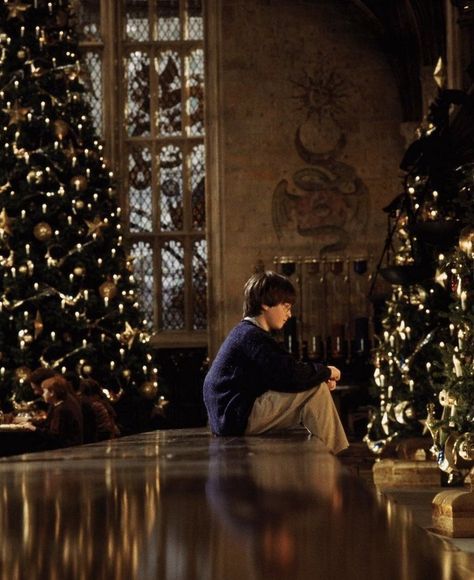 Christmas At Hogwarts, Harry Potter Vibes, Harry Potter Movie, Hogwarts Is My Home, Harry Potter Dr, Harry James Potter, Harry Potter Film, Harry Potter Aesthetic, Harry Potter 3