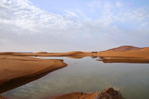 Flood in the Sahara Desert, Morocco.   Photo by Tracie Howe Photography Sahara Desert Oasis, Sahara Dessert Photography, Desert Sand Dunes, Morocco Photography, Desert Morocco, Namibia Sand Dunes, Desert Dunes, The Sahara Desert, Visit Morocco