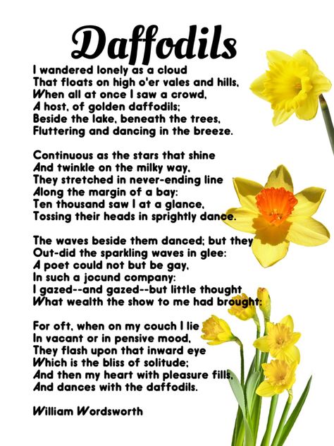 How we're celebrating World Poetry Day -- Daffodils, William Wordsworth Daffodils Poem William Wordsworth, Daffodil Wallpaper Iphone, Poem Daffodils, Daffodils Aesthetic, Wordsworth Quotes, Daffodils Poem, William Wordsworth Quotes, Daffodils William Wordsworth, Drawing Party