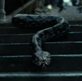 Nagini | Harry Potter Wiki | Fandom powered by Wikia Deatheater Aesthetic, Serpentine Valentine, Nagini Harry Potter, Phoenix Harry Potter, Slytherin Vibes, Rabastan Lestrange, Dark Harry, Harry Potter Wiki, Deathly Hallows Part 1