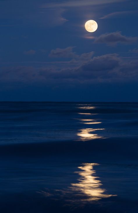 Starry Beach Night, Moonlit Photography, Moon Landscape Photography, Lake Moonlight, Nature Photography Night, Moon And Nature, Moonlight Ocean, Moonlit Lake, Moonlit Beach