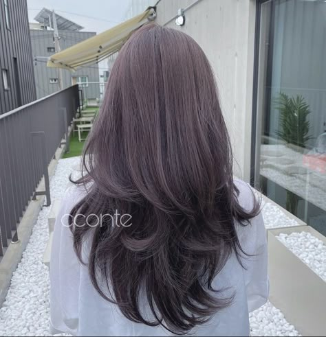 Cool Toned Purple Brown Hair, Dark Ash Lavender Hair, Dark Ashy Purple Hair, Dark Ash Purple Hair, Lavender Greige Hair, Dark Grey Purple Hair, Lavender Beige Hair, Chocolate Lavender Hair, Dark Lavender Hair