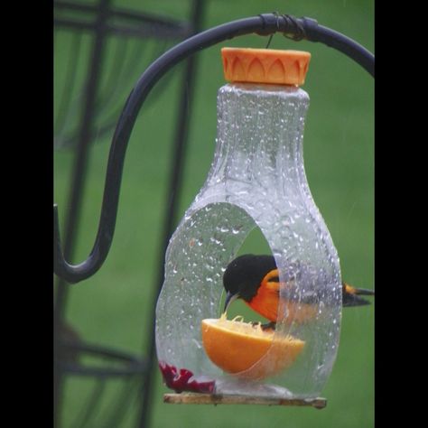 Oriel Bird Feeder Diy, Diy Winter Bird Feeder, Natural Bird Houses, Bird Feeder Ideas Backyards, Backyard Bird Feeding Stations, Bird Seed Catcher Diy, Bird Feeder Landscaping Ideas, Bird Feeding Station Ideas Gardens, Diy Bird Feeders Homemade