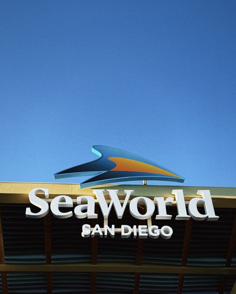 Family funday at @seaworldsandiego 🐠🦀🐬🦞🐳 #SeaWorldSanDiego #ad Sea World San Diego, Seaworld San Diego, Sea World, Aquariums, Geography, Cali, San Diego, Vision Board, Florida