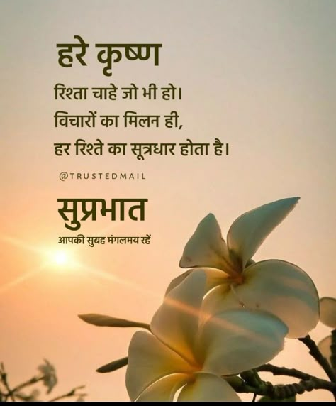 Good Morning Suvichar Hindi, Suvichar In Hindi Good Morning, Good Morning In Hindi Thoughts, Gm Quotes Mornings, Suprabhat Mornings In Hindi, Suprabhat Hindi Quotes, Good Morning English Quotes, Good Thoughts In Hindi, Good Morning Images Hindi