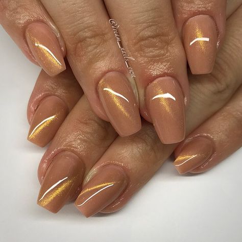 Ewa Krzos Nail Artist&Educator on Instagram: “Sepia with Gold Cats Eye Coat @the_gelbottle_inc @dream_nails_ewa #thegelbottleinc #gelbottlesepia #gelbottlecat #gelbottlegoldcateye…” Gold Halloween Nails, Gold Cat Eye Nails, Hoco Nails, Fun Nail Colors, Beige Nails, Rose Gold Nails, Fall Acrylic Nails, Cat Eye Nails, Jelly Nails