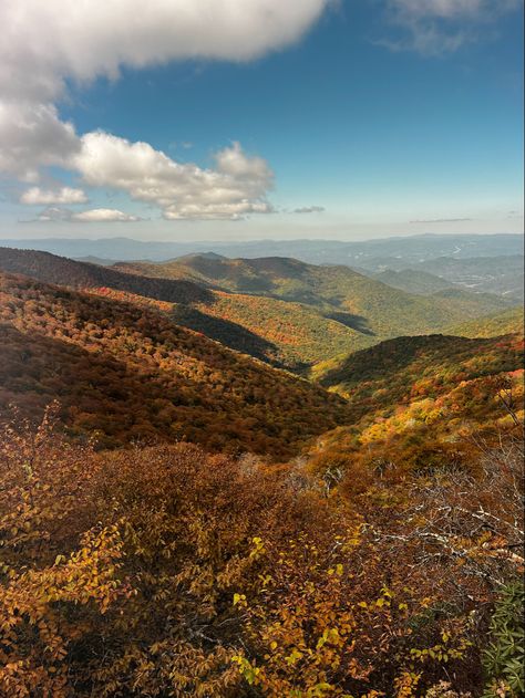 Ashville Nc Aesthetic, Asheville Mountains, Asheville Hiking, Unc Asheville, Fall North Carolina, Asheville Nc Aesthetic, North Carolina Fall, Ashville North Carolina, Asheville Hikes