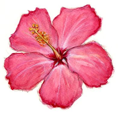 Painting Ideas Hibiscus, Hibiscus Flower Watercolor Painting, Habisquis Flower Drawing Easy, Hawian Flowers Drawings, Painted Hibiscus Flower, Hibiscus Flower Painting Easy, Hibiscus Painting Easy, Hubiskis Flower, How To Draw Hibiscus Flower