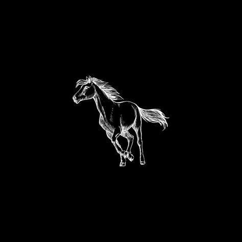 Horse Black Wallpaper, Tour Instagram Highlight Cover, Horse Highlight Covers Instagram, Black Horses Wallpaper, Black Horse Wallpaper, Black Horse Aesthetic, Smart Watch Wallpapers, Horse Bones, Highlights Cover Instagram